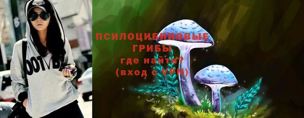 ПСИЛОЦИБИНОВЫЕ ГРИБЫ Алексеевка
