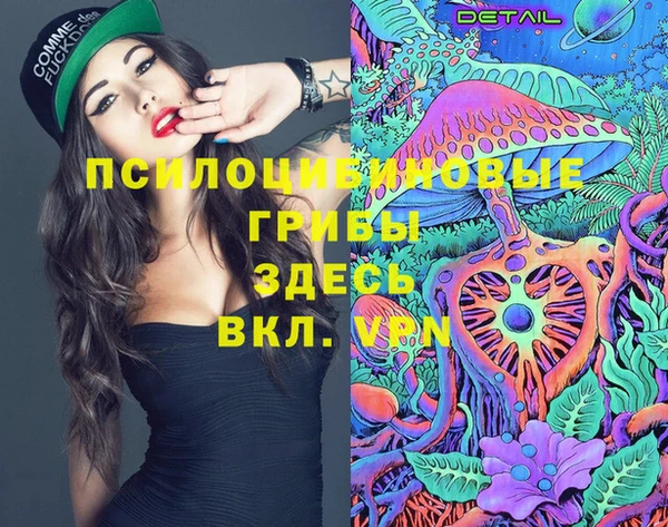 ПСИЛОЦИБИНОВЫЕ ГРИБЫ Алексеевка