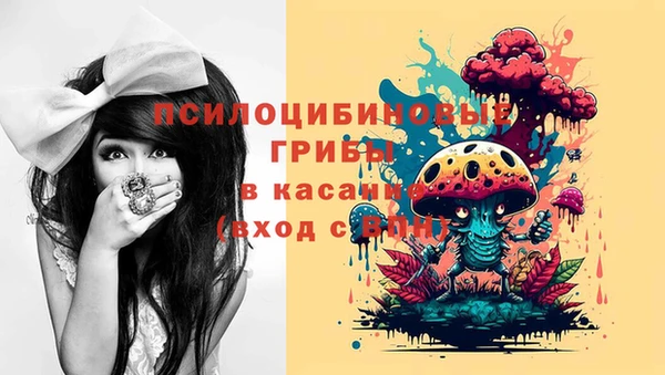 ПСИЛОЦИБИНОВЫЕ ГРИБЫ Алексеевка